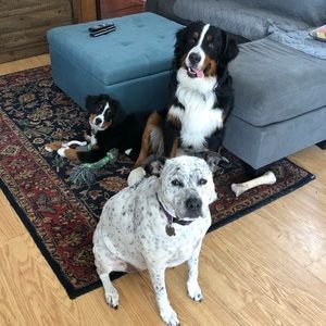 Meet your Posher, Courtney